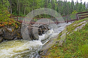 Rustic Suspension Hiking Bridge Over a Rushing Cascade