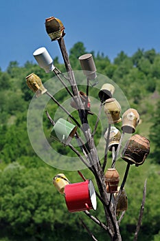 Rustic tradition in Maramures, landmark attraction in Romania - pot peg. Tree pots