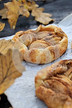 rustic traditional french biscuit cake with apples in autumn style