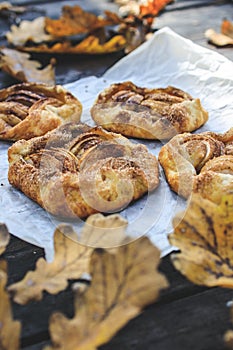 rustic traditional french biscuit cake with apples in autumn style