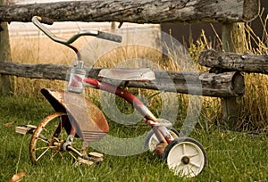 Rustic Tricycle