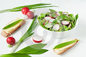 Rustic vegetarian summer seasonal salad