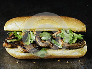 Rustic vietnamese bahn mi pork sandwich photo