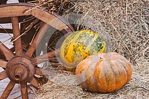 Rustic vintage autumn, fall background with ripe large ribbed pumpkins on straw near wooden wheel of cart, vintage