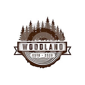 Rustic vintage evergreen, pines, spruce, cedar trees logo design vector