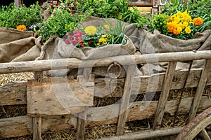Rustic vintage farm spring decoration with an old chariot dray cart farm wagon and flowers