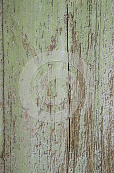 Rustic vintage green painted barn wood wall