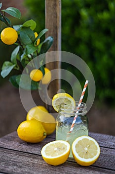 A rustic vintage jar of fresh homemade lemonade with some sliced and whole lemons and some lemon tree branches