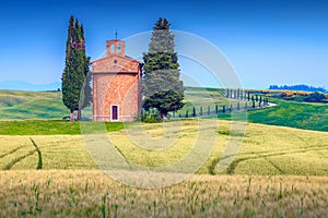 Rustic Vitaleta chapel and grain fields in summer, Tuscany, Italy