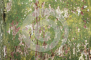 Rustic and weathered paint on wood panel photo