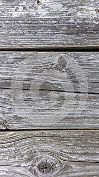 Rustic Weathered Wood Grain Texture with Knots, Close-up Backdrop