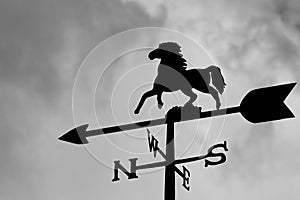 Rustic Weathervane photo