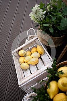 Rustic weddind decorated with lemons. Wedding day.