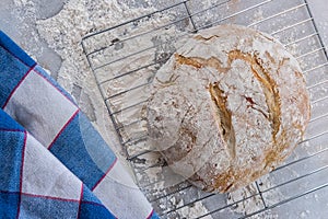 Rustic White Bread cooling on baking rack