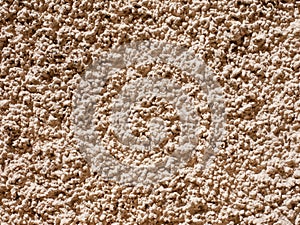 Rustic white plaster, natural light, detail