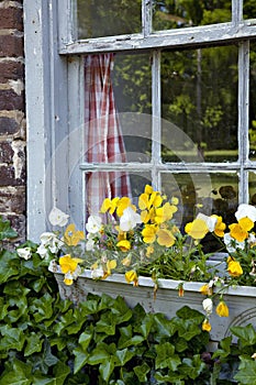 Rustic window with planter box