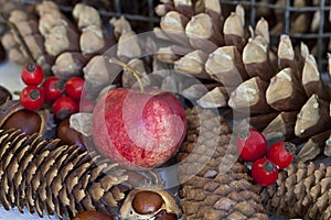 Rustic winter still life with apples