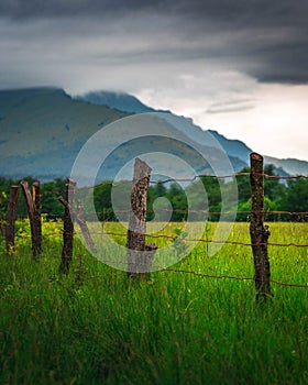 rustic wire fence in a field with wooden poles against the background of green grass