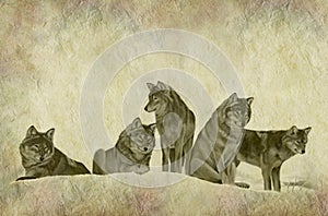 Rustic Wolf Pack Parchment photo