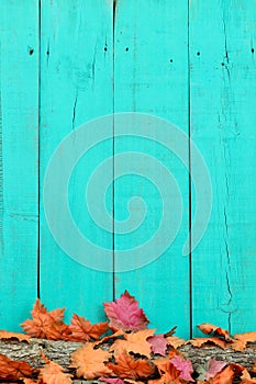 Rustic wood background with autumn leaves on log