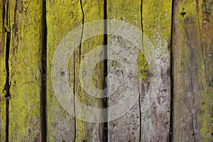 Rustic wood background with green slime
