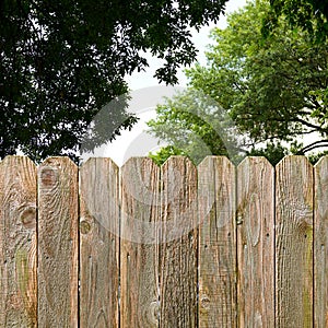 Rustic wood fence provides backyard privacy and security with green shade trees in the background