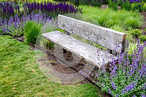 Rustic wood garden bench surrounded by ornamental grasses and the blooming purple flowers of salvia and catmint