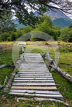 Rustic wood path through marshy area, leading to wooded trail, in Cerro Alarken Nature Reserve