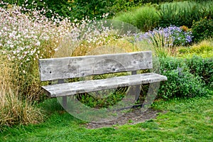 Rustic wood plank bench in a summer garden full of flowers blooming