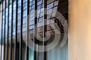 Rustic wood roller blind. Window with blind and iron bars.
