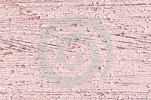 Rustic wood texture or background with pink pastel paint