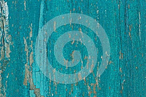 Rustic wood texture or background with scratched turquoise paint