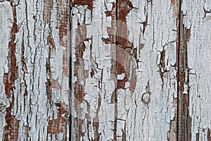 Rustic wood texture with cracked paint natural patterns surface as background.