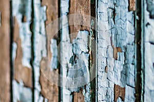 Rustic wood texture with natural patterns surface as background