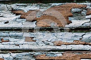 Rustic wood texture with natural patterns surface as background