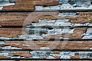 Rustic wood texture with natural patterns surface as background