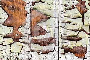 Rustic wood texture with natural patterns surface as background