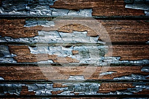 Rustic wood texture with natural patterns surface as background