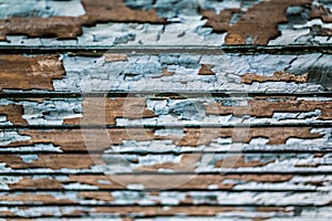 Rustic wood texture with natural patterns surface as background