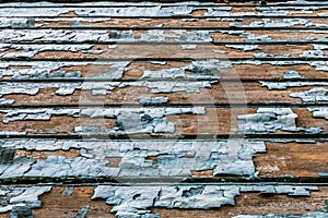 Rustic wood texture with natural patterns surface as background