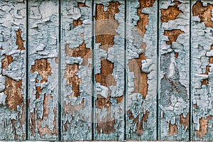 Rustic wood texture with natural patterns surface as background