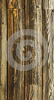 Rustic wood texture plank grain background, old striped timber board