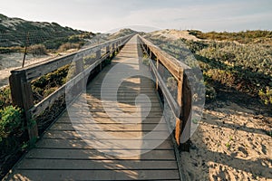 Rustic wooden beach boardwalk through sand dunes leading to the beach, California