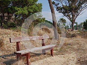 Rustic wooden bench in a park without people