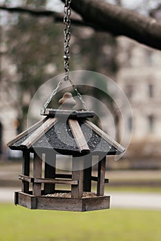 A rustic wooden bird feeder hangs from a tree branch in an urban park, creating a cozy and inviting scene for birds photo