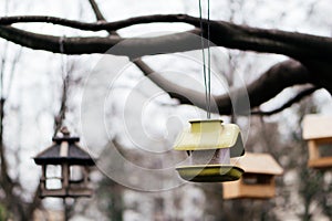 A rustic wooden bird feeder hangs from a tree branch in an urban park, creating a cozy and inviting scene for birds photo