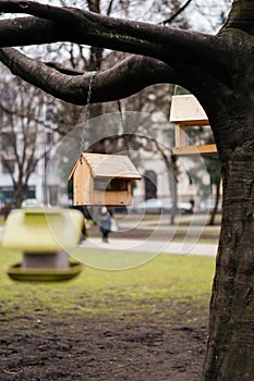 A rustic wooden bird feeder hangs from a tree branch in an urban park, creating a cozy and inviting scene for birds photo