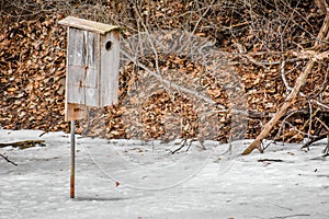 Rustic Wooden Birdhouse in Frozen Pond