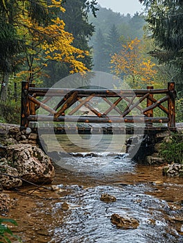 A rustic wooden bridge over a forest stream