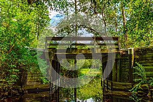 Rustic Wooden Bridge Over Reflection-Filled Waters at Okefenokee Swamp Park, Georgia, Framed by Lush Greenery, Florida